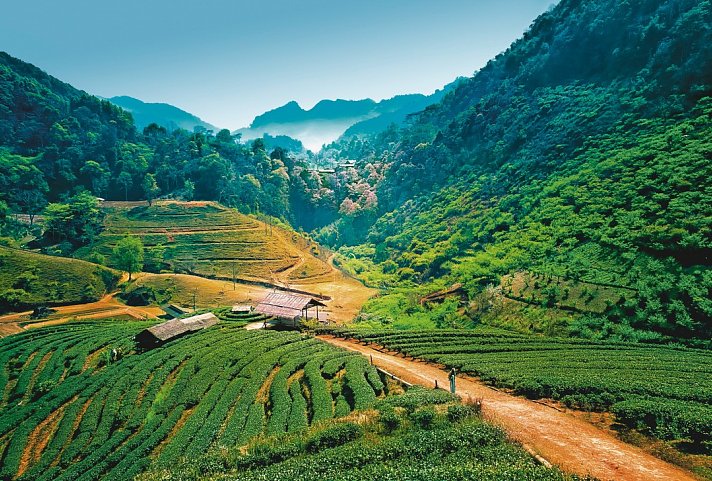 BKK10034B_W25-V01X0000_6