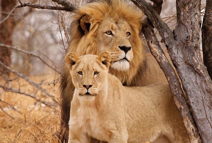 MRU01207B_W26-V01X0000_7