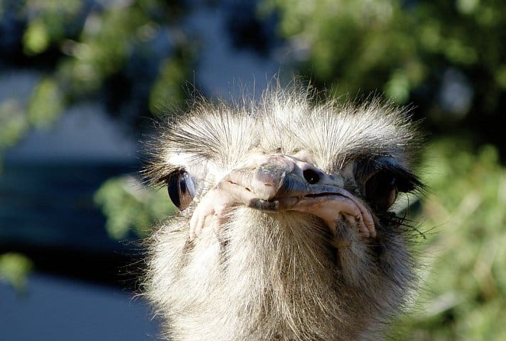 MRU01207B_W26-V01X0000_8