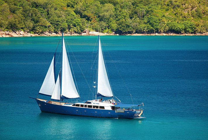 SEZ50020B_W26-V01X0000_7