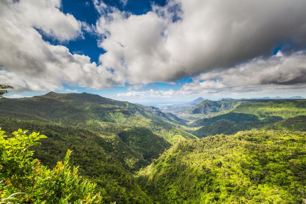 Black River Gorges Nationalpark – die grüne Seite von Mauritius