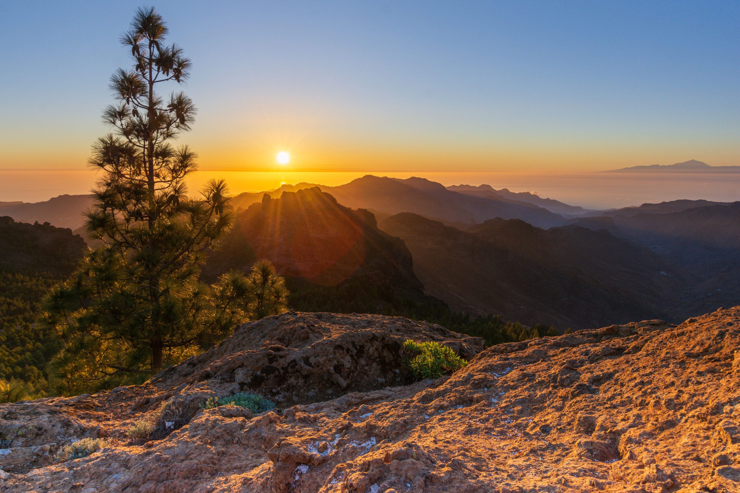 gran canaria